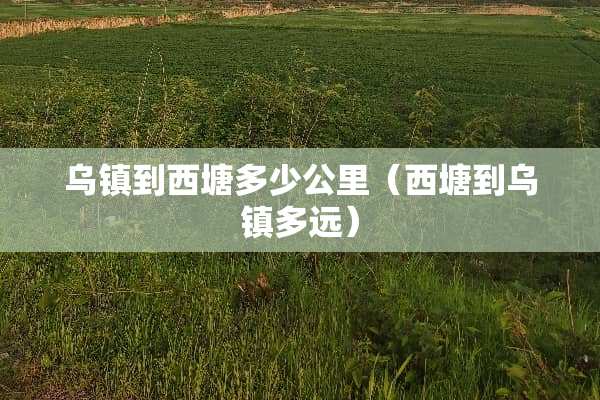 乌镇到西塘多少公里（西塘到乌镇多远）