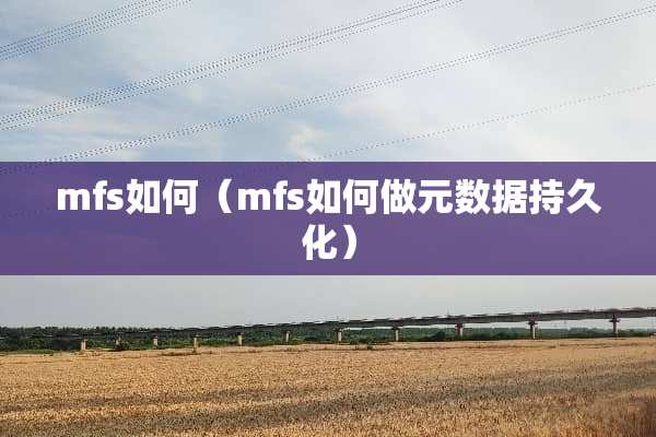 mfs如何（mfs如何做元数据持久化）