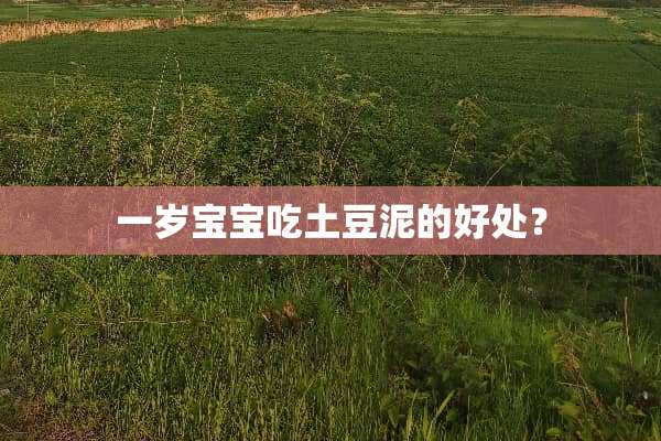 一岁宝宝吃土豆泥的好处？