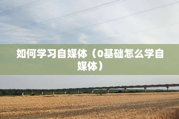 如何学习自媒体（0基础怎么学自媒体）