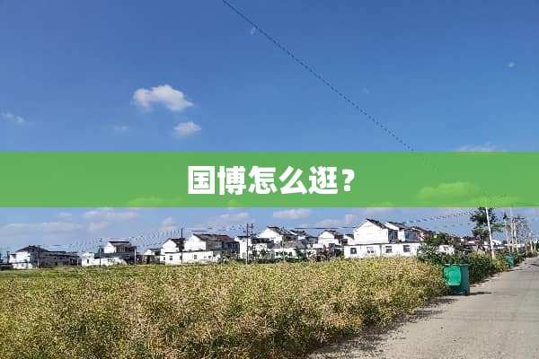 国博怎么逛？