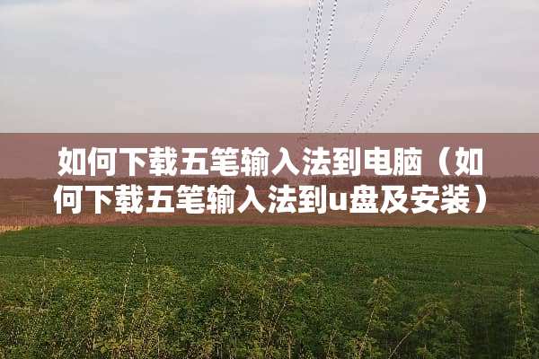 如何下载五笔输入法到电脑（如何下载五笔输入法到u盘及安装）