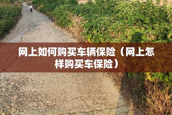网上如何购买车辆保险（网上怎样购买车保险）