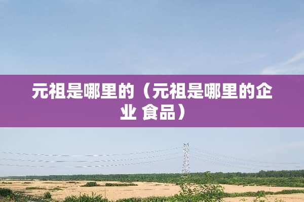元祖是哪里的（元祖是哪里的企业 食品）