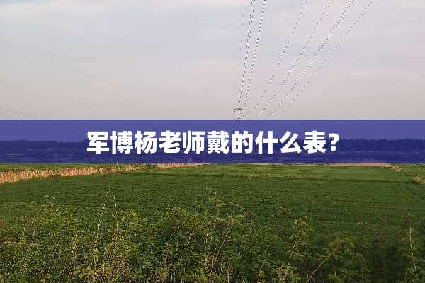 军博杨老师戴的什么表？