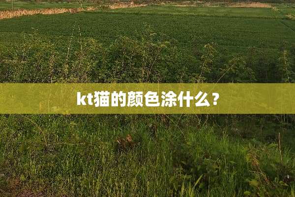 kt猫的颜色涂什么？