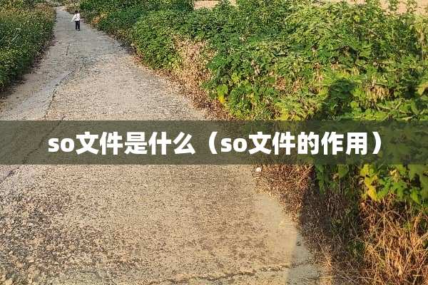 so文件是什么（so文件的作用）