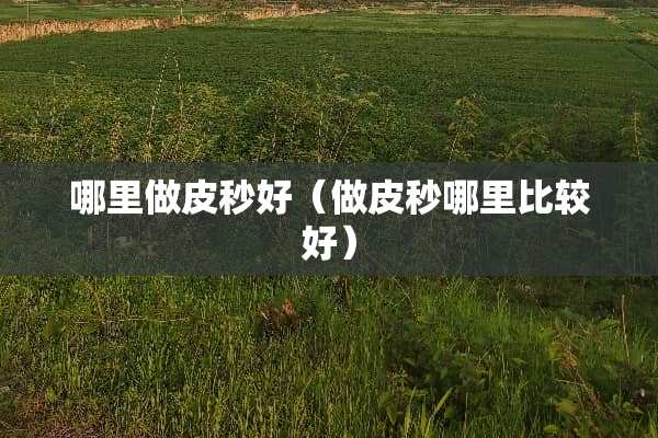 哪里做皮秒好（做皮秒哪里比较好）