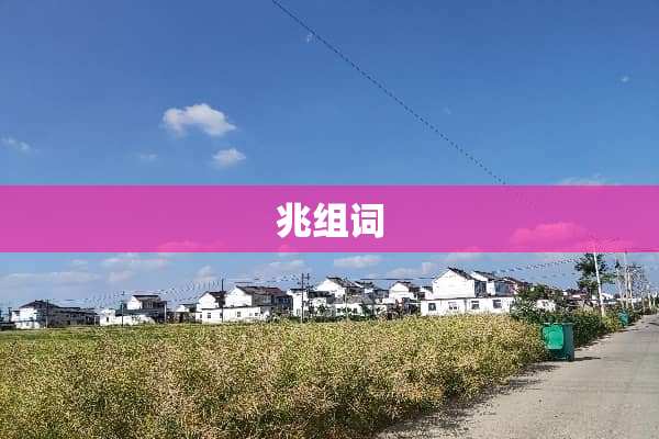 兆组词
