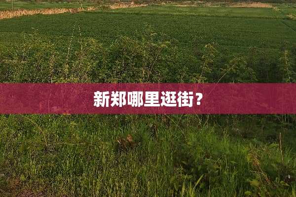 新郑哪里逛街？