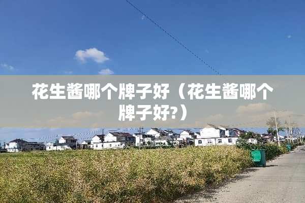 花生酱哪个牌子好（花生酱哪个牌子好?）