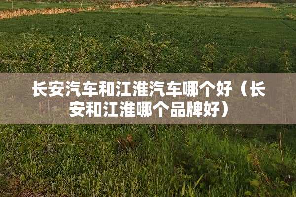 长安汽车和江淮汽车哪个好（长安和江淮哪个品牌好）