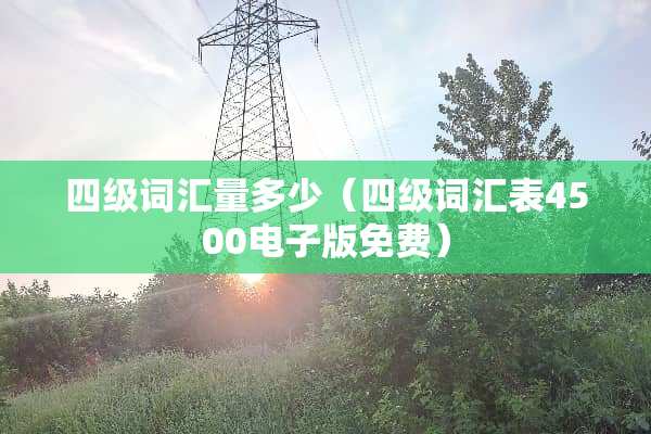 四级词汇量多少（四级词汇表4500电子版免费）
