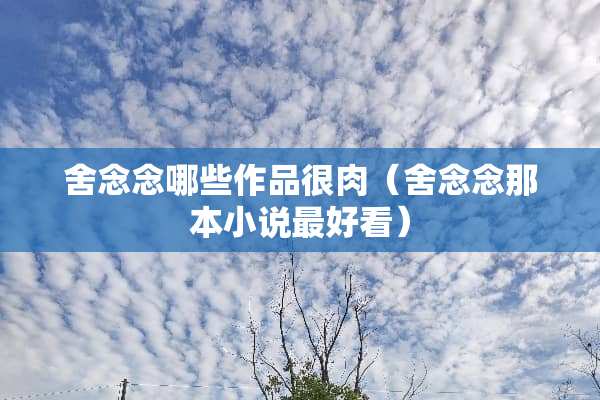 舍念念哪些作品很肉（舍念念那本小说最好看）