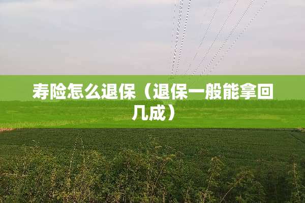 寿险怎么退保（退保一般能拿回几成）