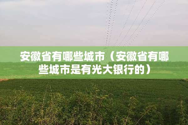 安徽省有哪些城市（安徽省有哪些城市是有光大银行的）