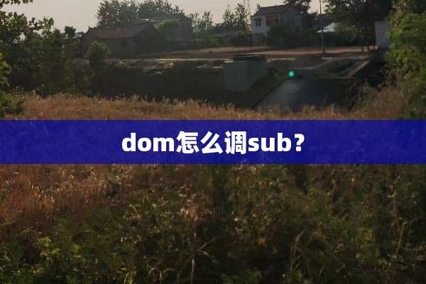 dom怎么调sub？