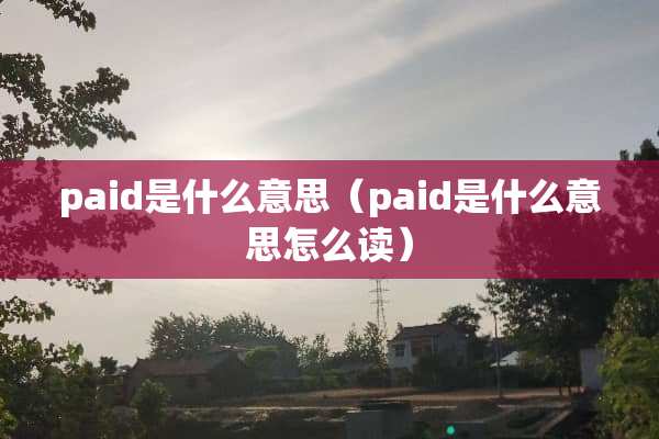 paid是什么意思（paid是什么意思怎么读）