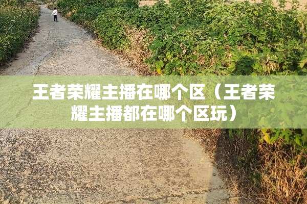 王者荣耀主播在哪个区（王者荣耀主播都在哪个区玩）