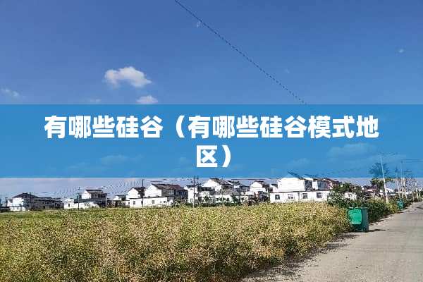 有哪些硅谷（有哪些硅谷模式地区）
