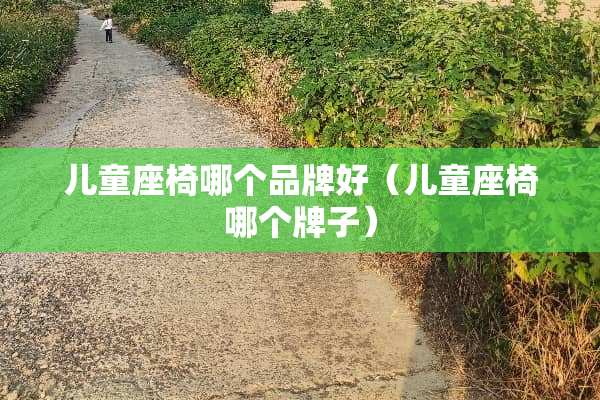 儿童座椅哪个品牌好（儿童座椅哪个牌子）