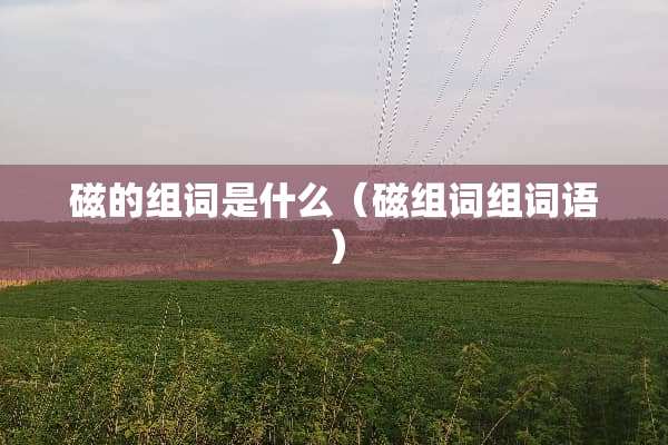 磁的组词是什么（磁组词组词语）