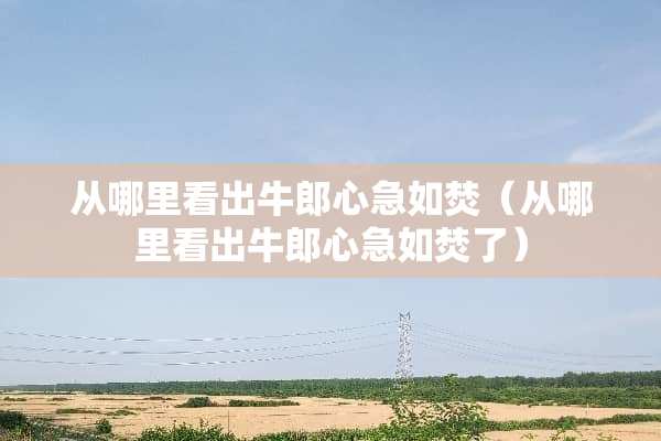 从哪里看出牛郎心急如焚（从哪里看出牛郎心急如焚了）