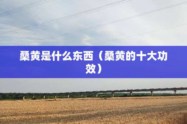 桑黄是什么东西（桑黄的十大功效）