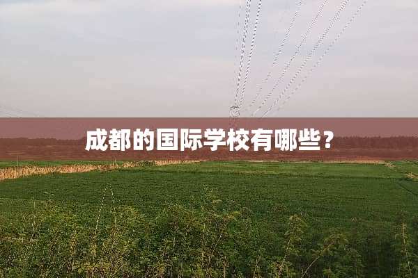 成都的国际学校有哪些？
