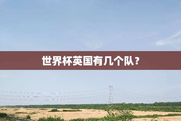世界杯英国有几个队？