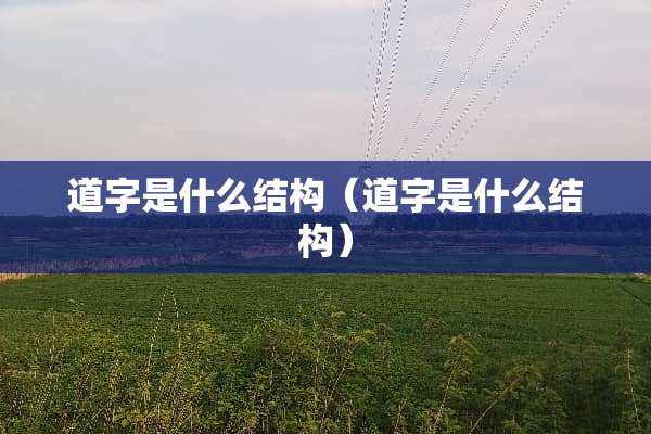道字是什么结构（道字是什么结构）
