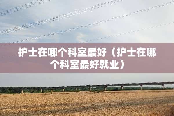 护士在哪个科室最好（护士在哪个科室最好就业）