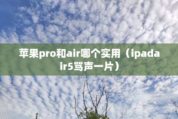 苹果pro和air哪个实用（ipadair5骂声一片）