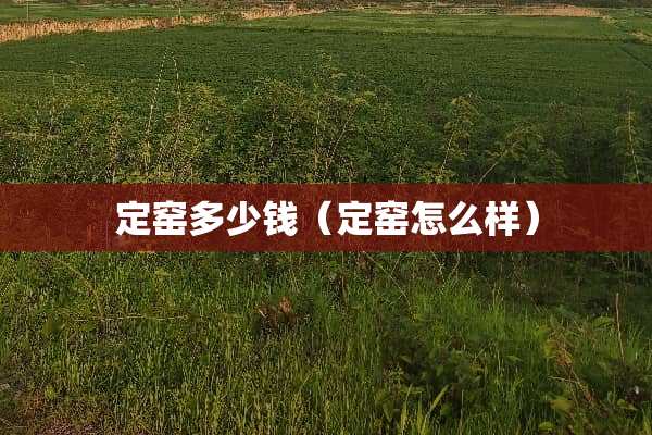 定窑多少钱（定窑怎么样）