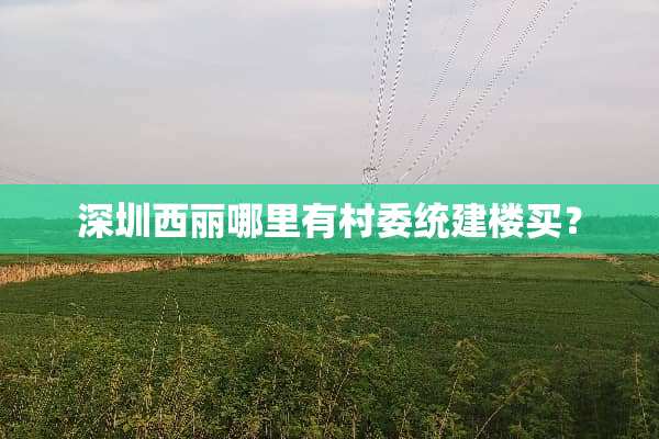 深圳西丽哪里有村委统建楼买？