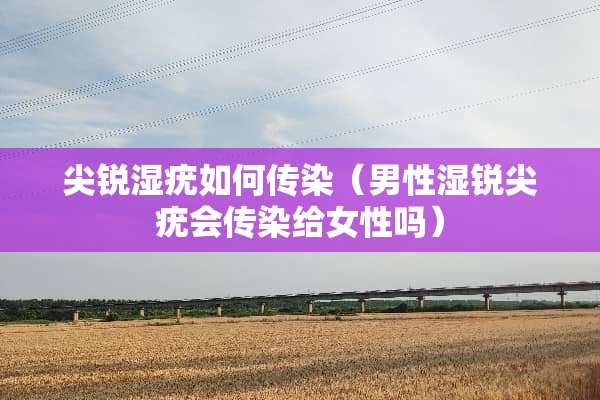 尖锐湿疣如何传染（男性湿锐尖疣会传染给女性吗）