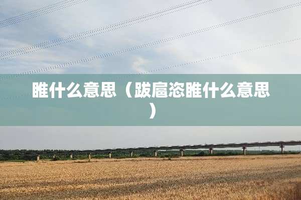 睢什么意思（跋扈恣睢什么意思）