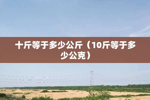十斤等于多少公斤（10斤等于多少公克）
