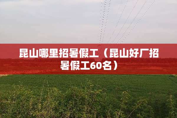 昆山哪里招暑假工（昆山好厂招暑假工60名）