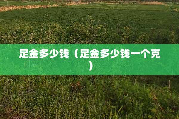 足金多少钱（足金多少钱一个克）