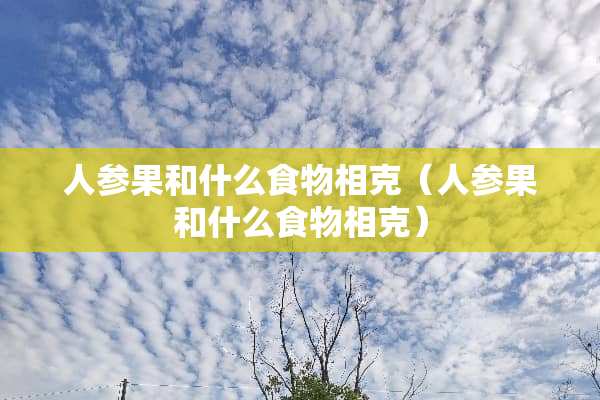 人参果和什么食物相克（人参果和什么食物相克）