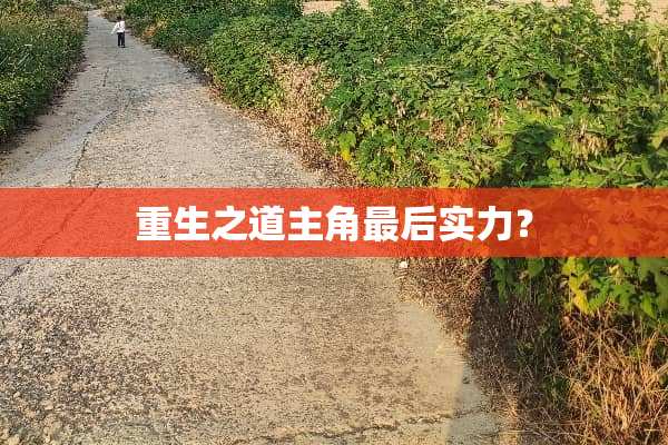重生之道主角最后实力？