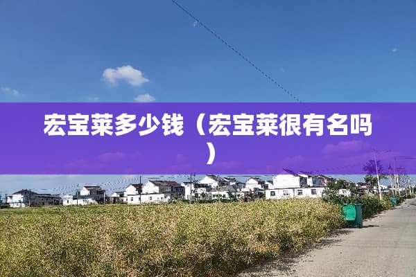宏宝莱多少钱（宏宝莱很有名吗）