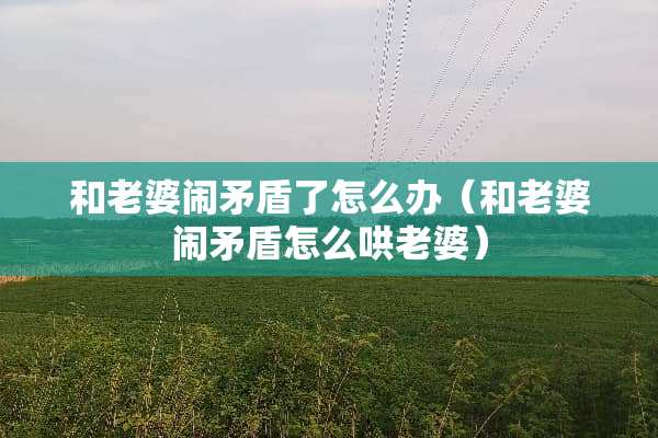 和老婆闹矛盾了怎么办（和老婆闹矛盾怎么哄老婆）