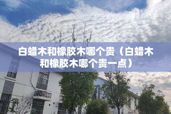 白蜡木和橡胶木哪个贵（白蜡木和橡胶木哪个贵一点）