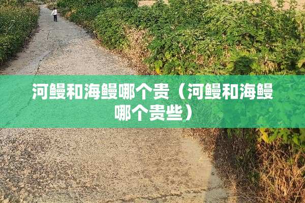 河鳗和海鳗哪个贵（河鳗和海鳗哪个贵些）