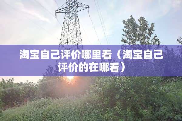 淘宝自己评价哪里看（淘宝自己评价的在哪看）