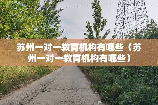 苏州一对一教育机构有哪些（苏州一对一教育机构有哪些）