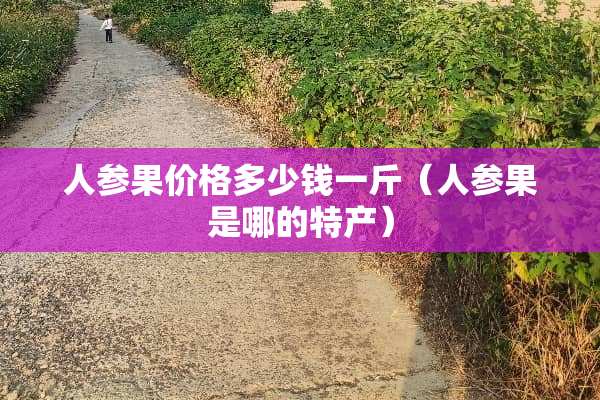 人参果价格多少钱一斤（人参果是哪的特产）
