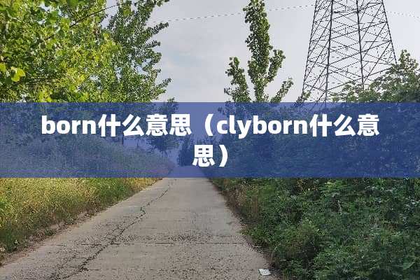 born什么意思（clyborn什么意思）